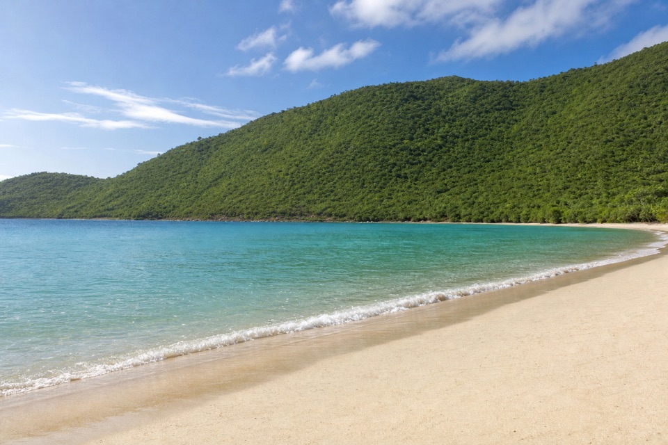Francis Bay Beach in Virgin Islands National Park