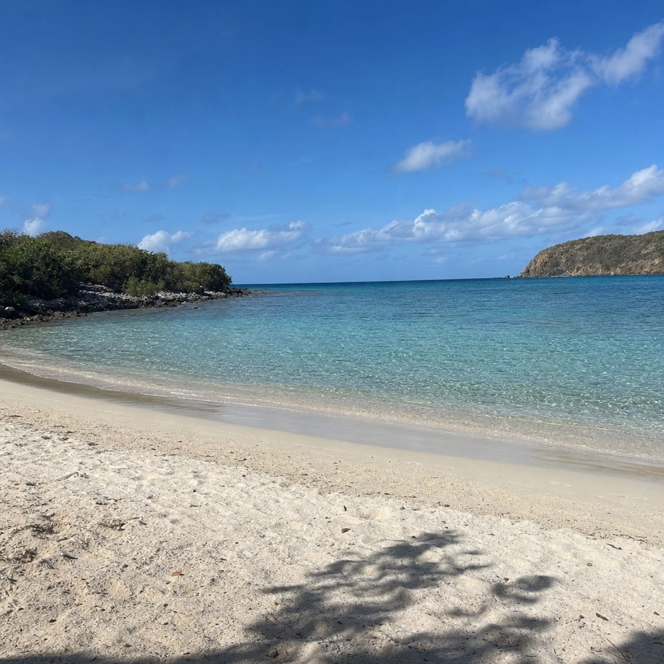 Salt Pond Bay Beach in Virgin Islands National Park