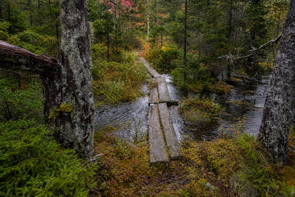 Bowditch Trail in Acadia National Park
