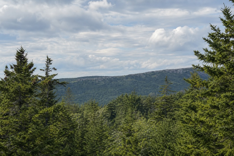 Triad Trail in Acadia National Park