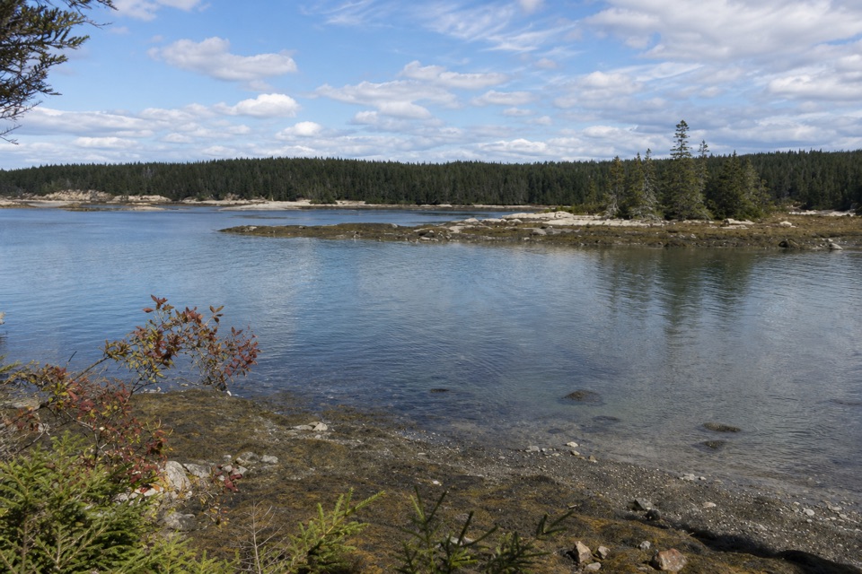 Sundew Trail in Acadia National Park
