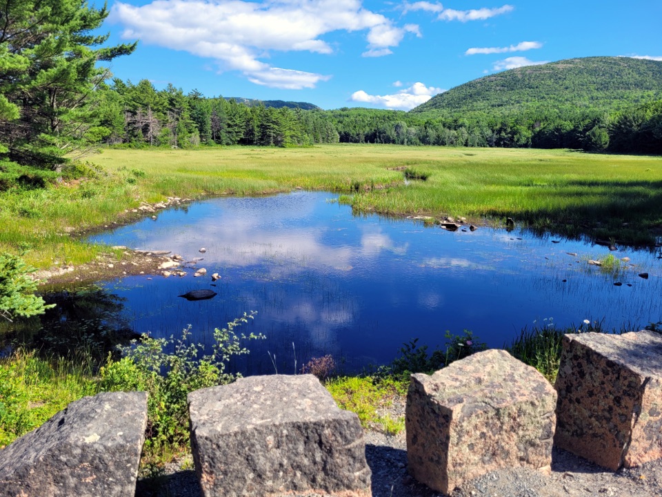 Aunt Betty Pond Loop in Acadia National Park