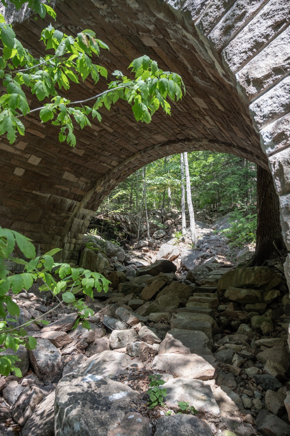 Amphitheater Trail in Acadia National Park