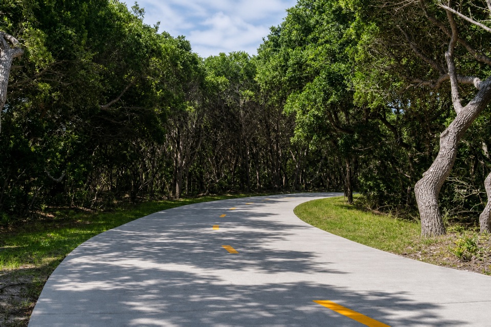 The Lighthouse Pathway in Cape Hatteras National Seashore