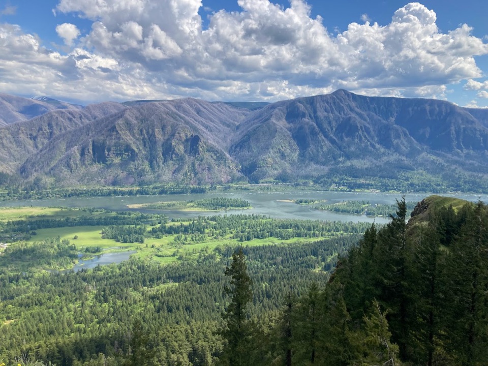 Hamilton Mountain Summit Loop in Columbia River Gorge National Scenic Area