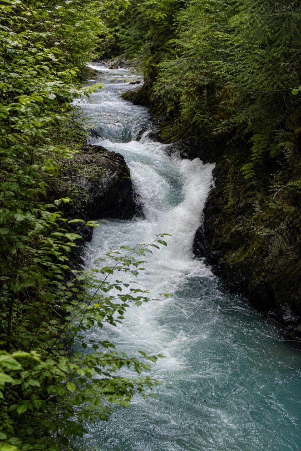 BZ Trail in Columbia River Gorge National Scenic Area