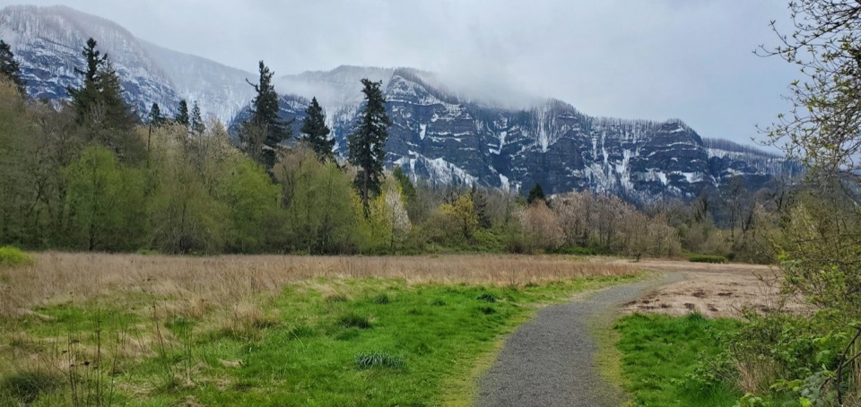 Sams Walker Loop in Columbia River Gorge National Scenic Area