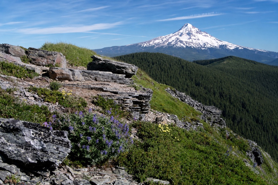 Chinidere Mountain Loop in Columbia River Gorge National Scenic Area