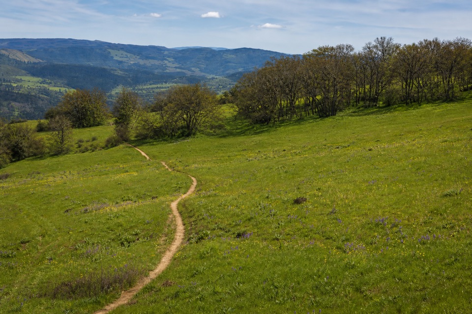 Old Ranch Road Trail in Columbia River Gorge National Scenic Area