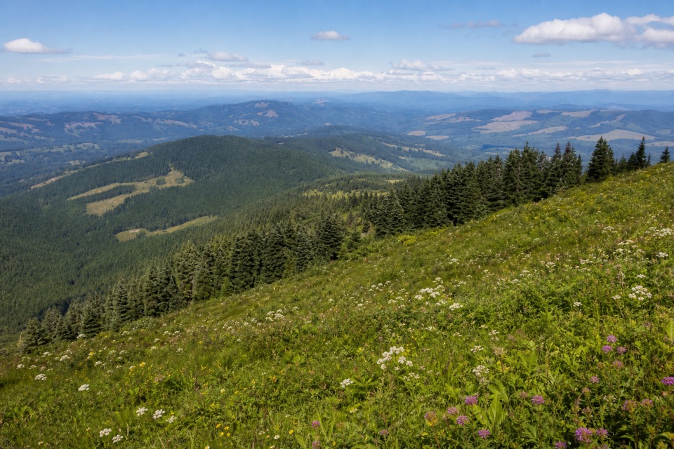 Silver Star Mountain – Ed’s Trail Loop in Columbia River Gorge National Scenic Area