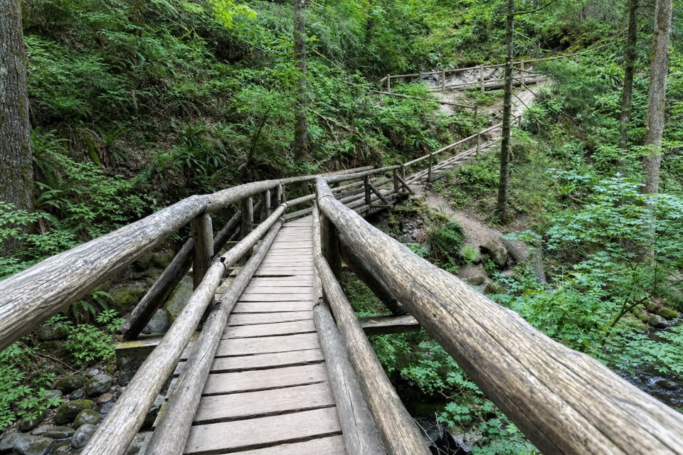 Bridge Trail Loop in Columbia River Gorge National Scenic Area