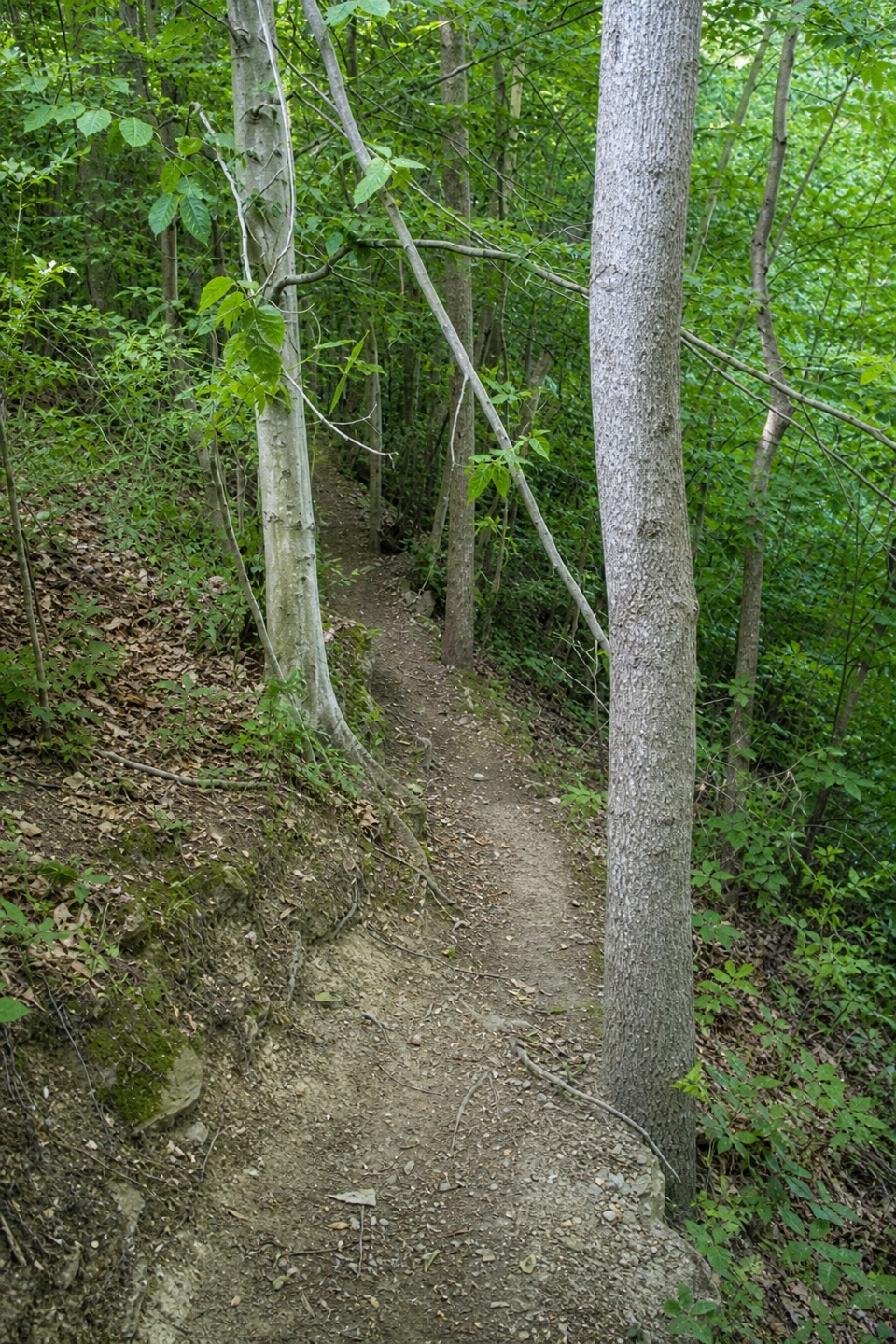Post Line Trail in Cuyahoga Valley National Park