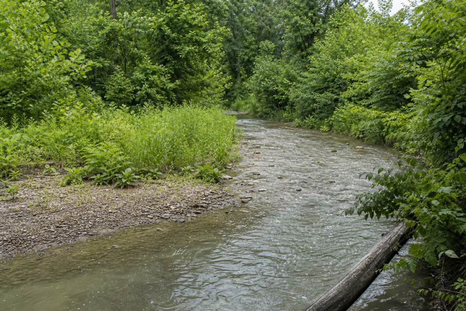 Deer Run Trail in Cuyahoga Valley National Park