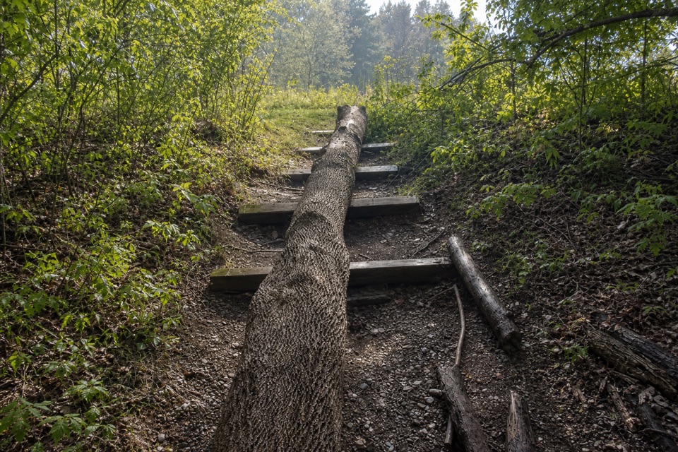 Dickerson Run Trail in Cuyahoga Valley National Park