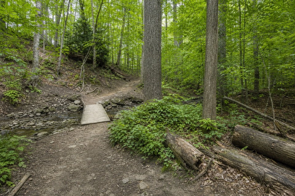 Wildflower Loop Trail in Cuyahoga Valley National Park