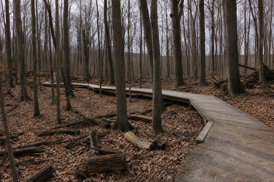 White Oak Trail Loop in Cuyahoga Valley National Park