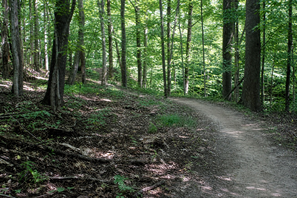 Lamb Loop Trail in Cuyahoga Valley National Park