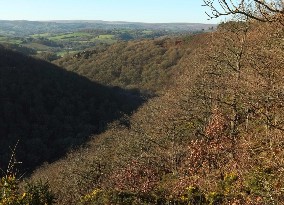 Piddledown Common Walk in Dartmoor National Park