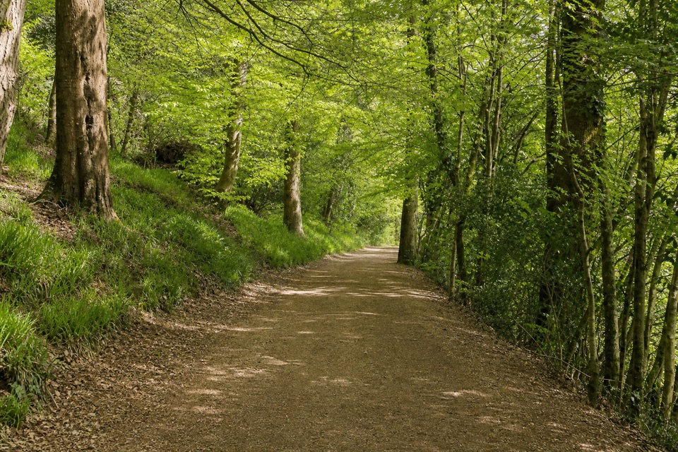 West Devon Way in Dartmoor National Park