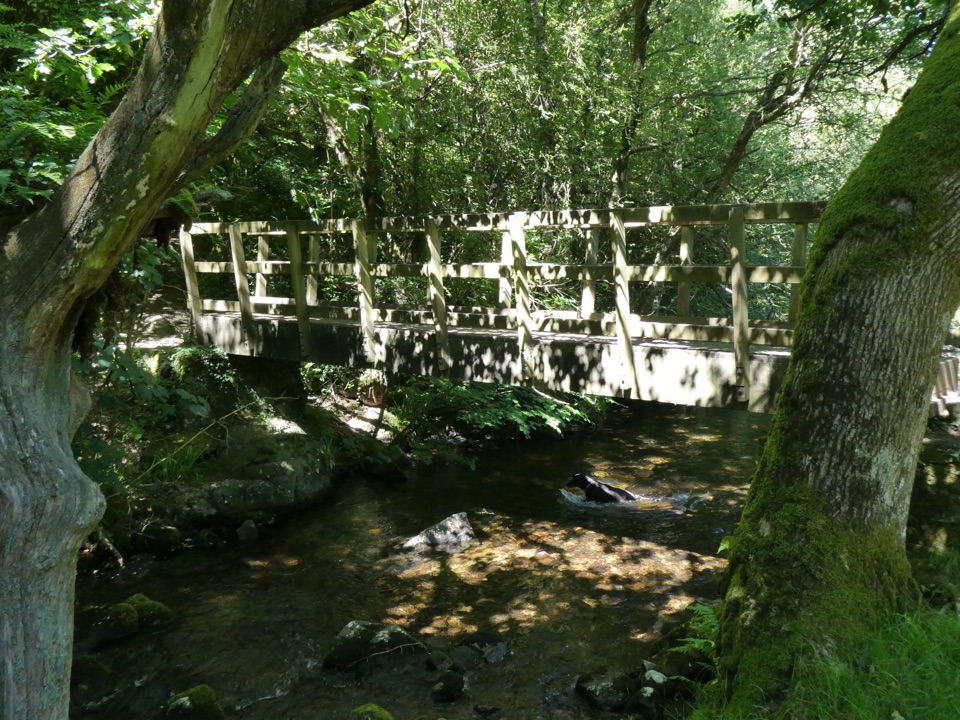 Belstone and Sticklepath Circular in Dartmoor National Park