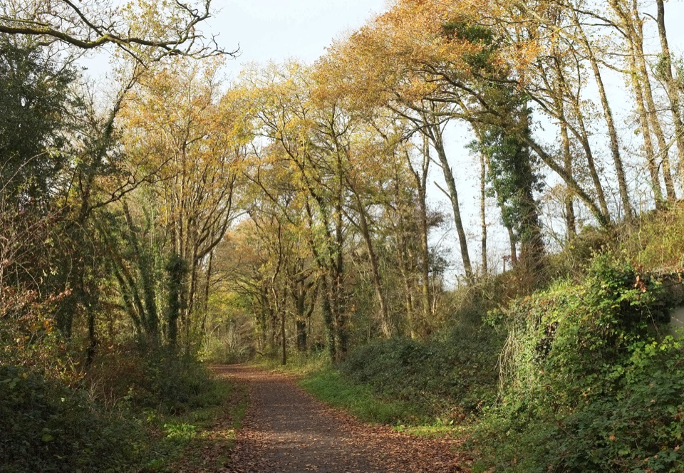 Wray Valley Trail in Dartmoor National Park