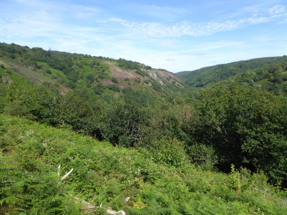 Teign Gorge Classic Circuit in Dartmoor National Park