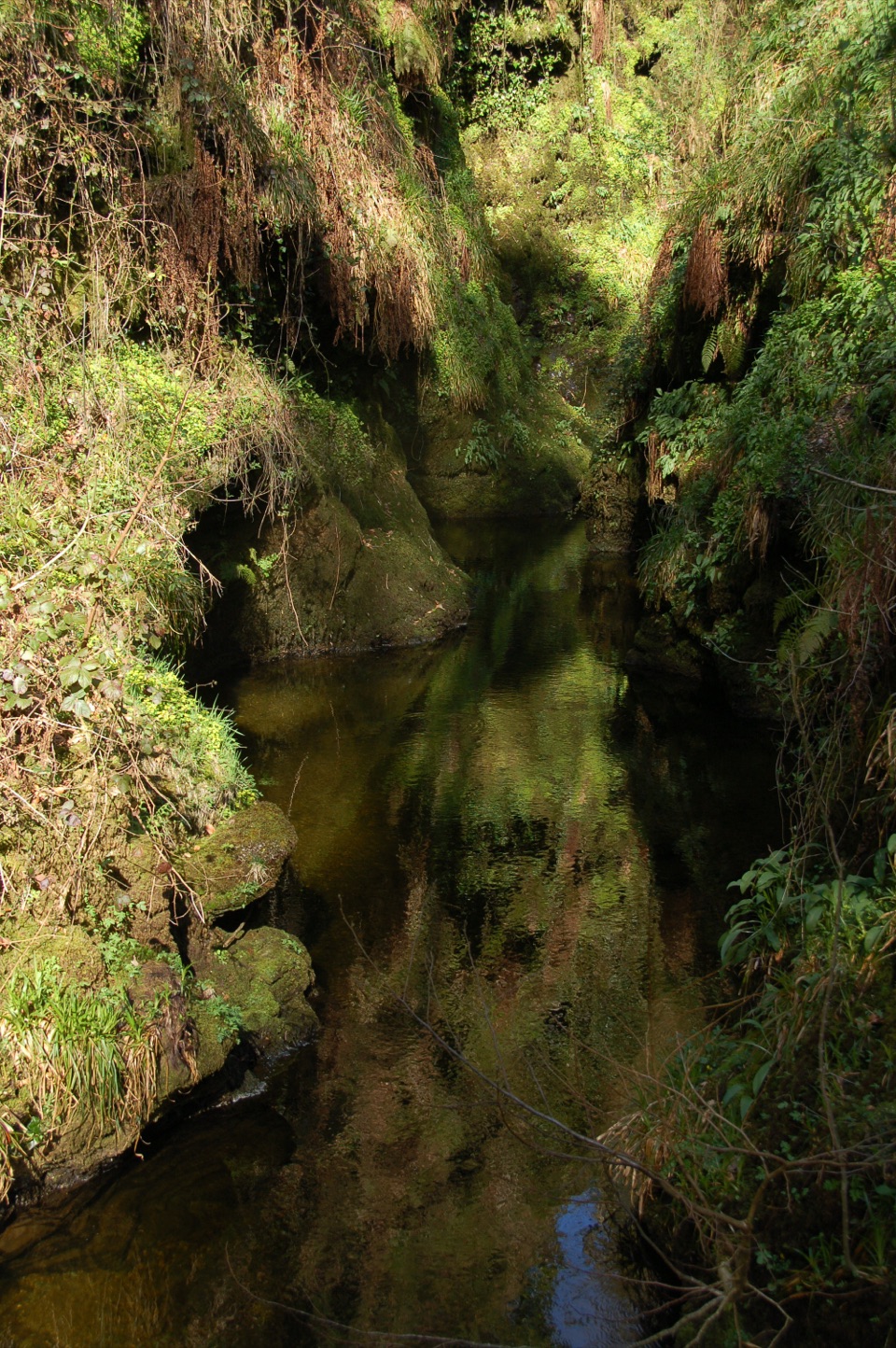 Devil's Cauldron Trail in Dartmoor National Park