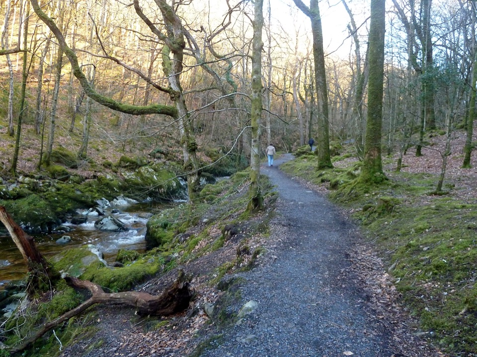 Torrent Walk in Eryri National Park