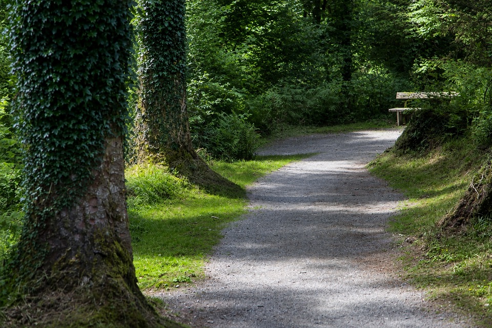 Afon Eden Trail (Riverside Loop) in Eryri National Park