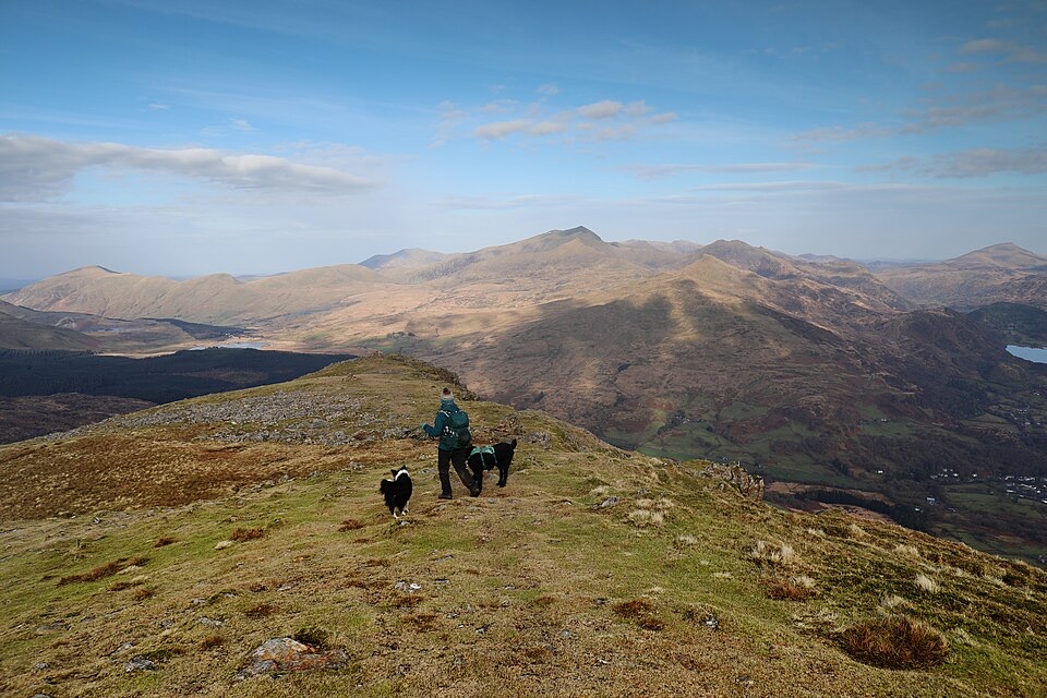 Moel Hebog Circular in Eryri National Park