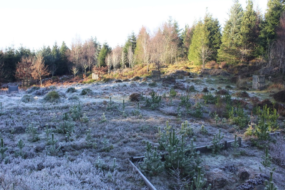 Bloomeries Trail in Eryri National Park