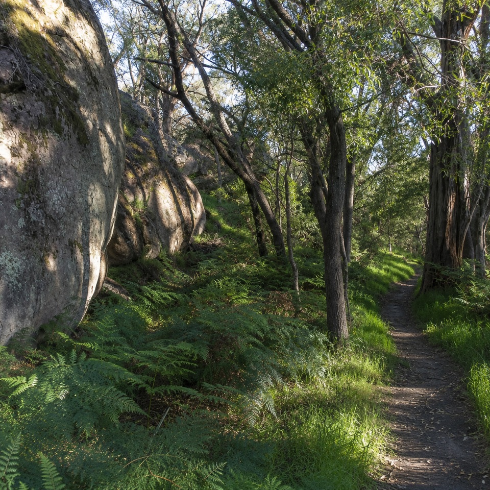 Delleys Bridge Walking Track in Grampians National Park
