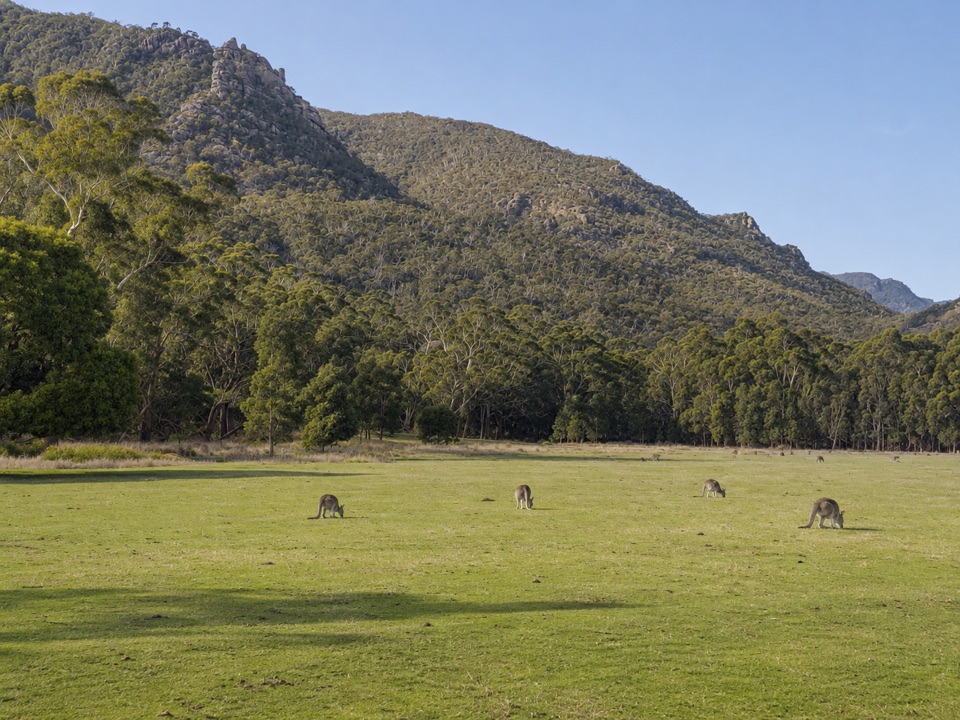 Fyans Creek Loop Walk in Grampians National Park