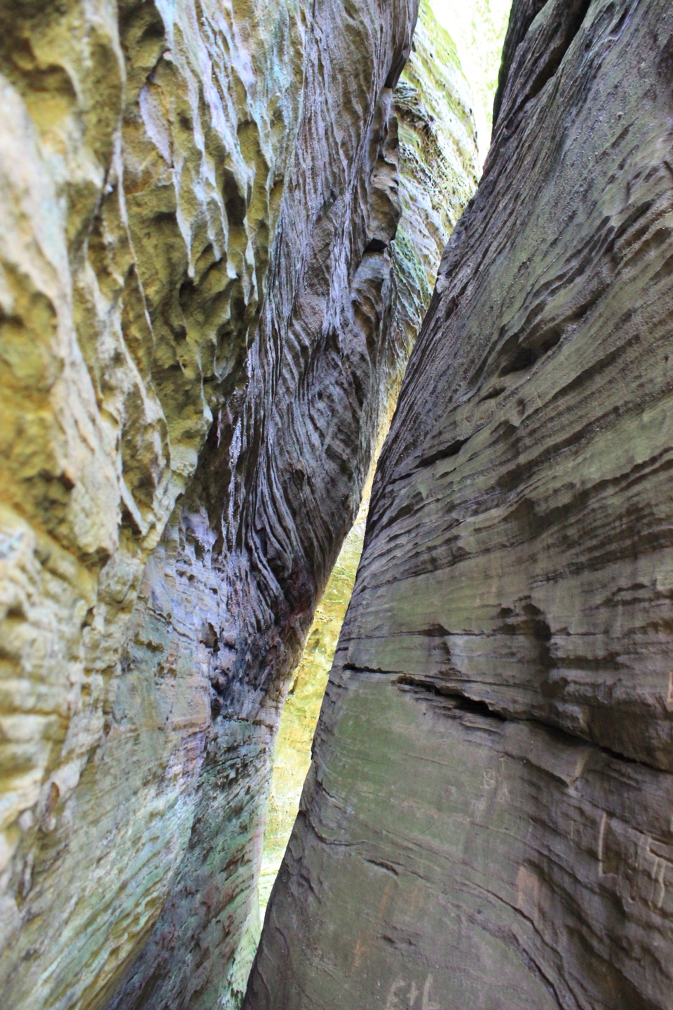 Cantwell Gorge Trail in Hocking Hills State Park