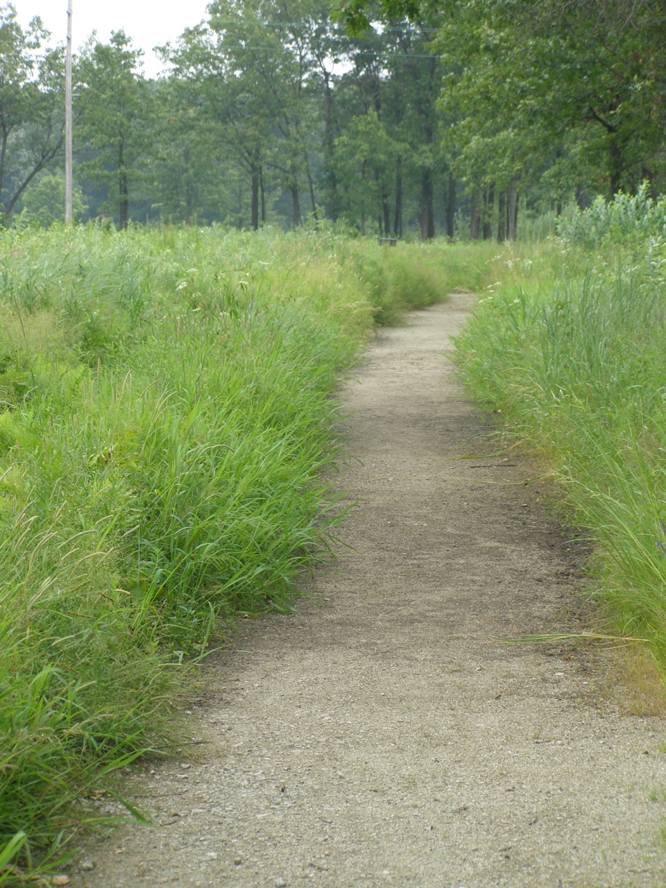 Hoosier Prairie Trail in Indiana Dunes National Park