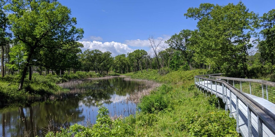Douglas Center Loop in Indiana Dunes National Park