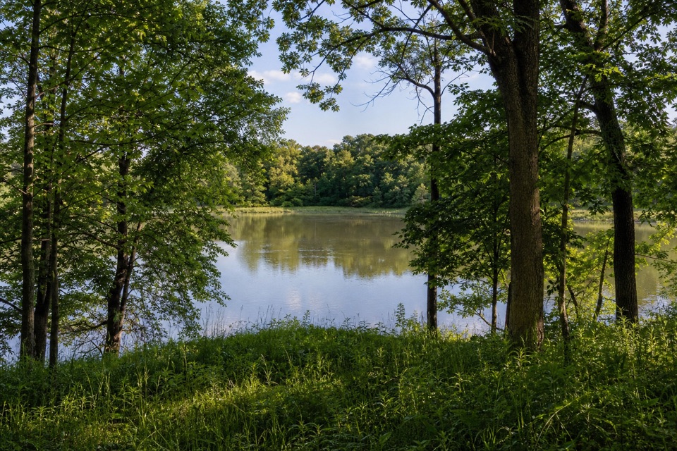 Hobart Woodland Trail in Indiana Dunes National Park