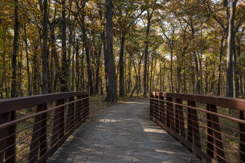 Oak Savannah Bike Trail in Indiana Dunes National Park