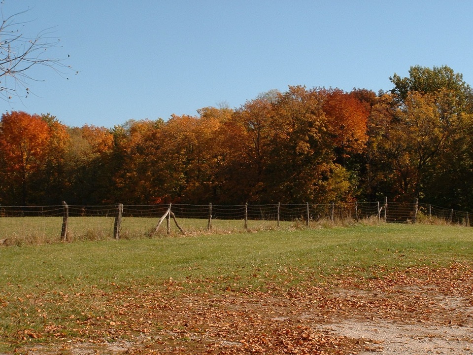 Bailly/Chellberg Inner Loop in Indiana Dunes National Park
