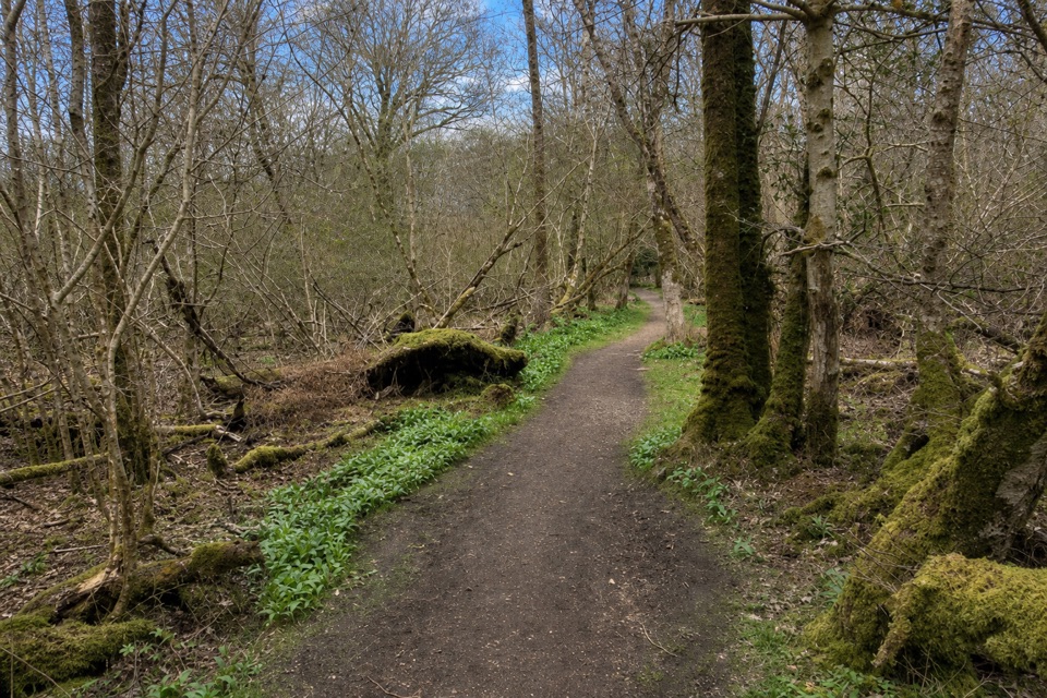 Ross Island Loop in Killarney National Park