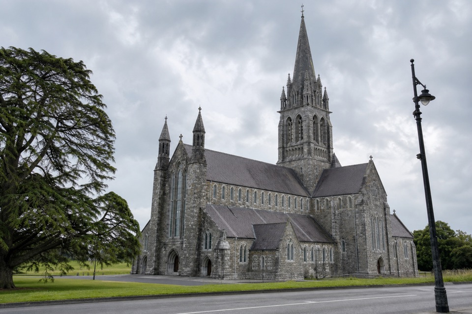 The Fossa Way in Killarney National Park