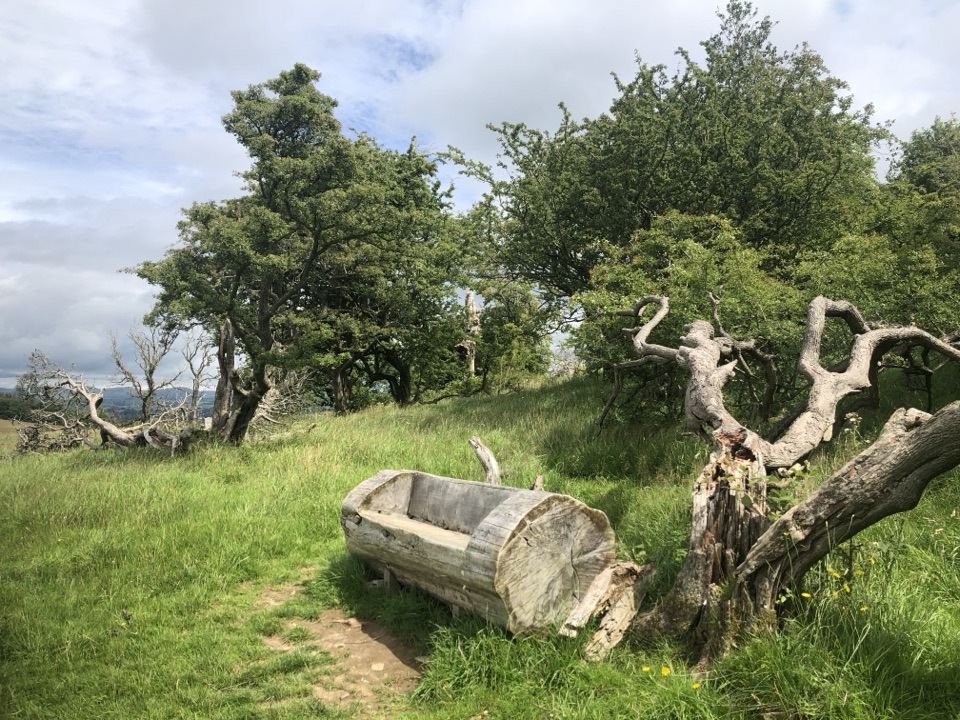 Sizergh Fell Walk in Lake District National Park