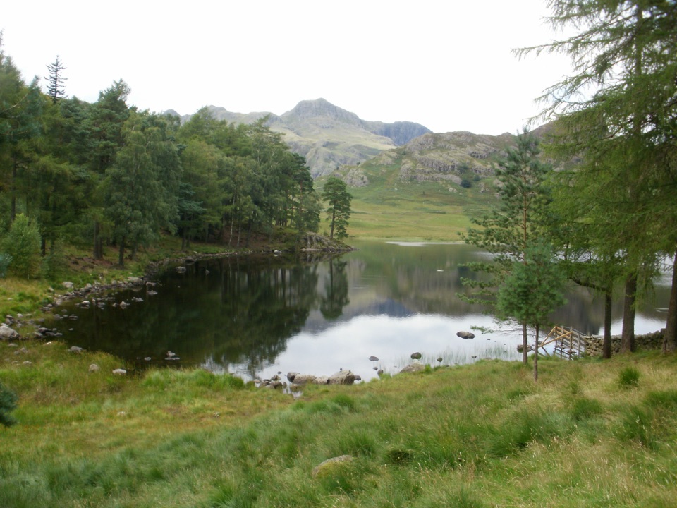 Blea Tarn Trail in Lake District National Park