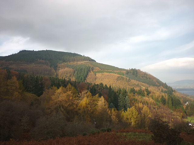 Masmill Beck Trail in Lake District National Park