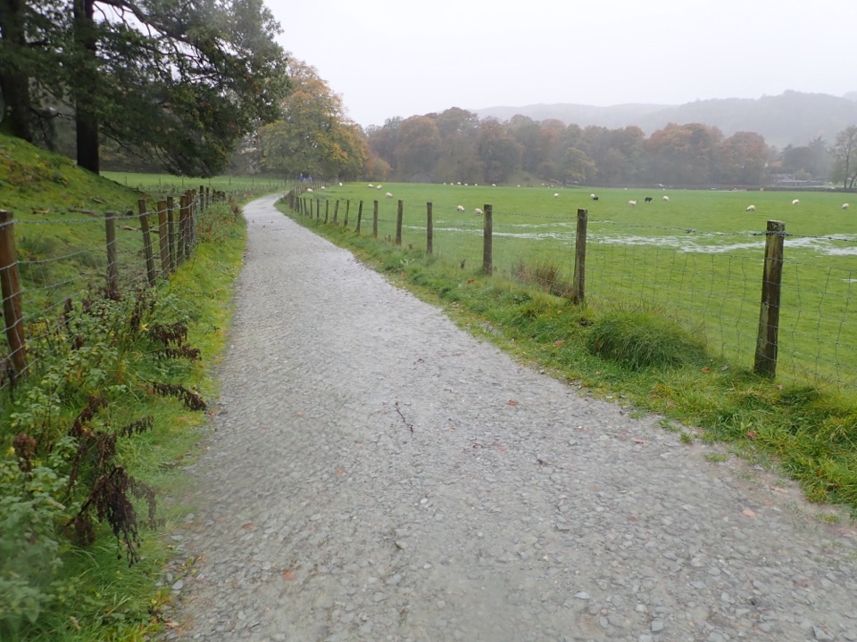 Grasmere Trail in Lake District National Park