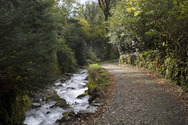 Dig Dig Dig Audio Trail in Lake District National Park