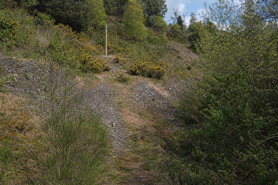Goats’ Path Scree in Loch Lomond & The Trossachs National Park