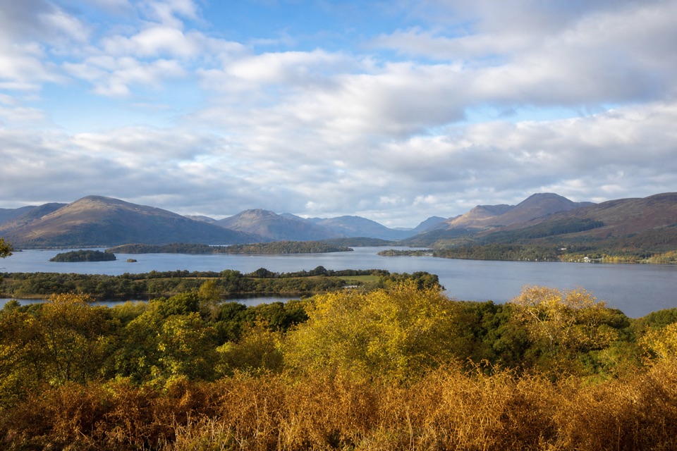 Summit Path, Inchcailloch in Loch Lomond & The Trossachs National Park