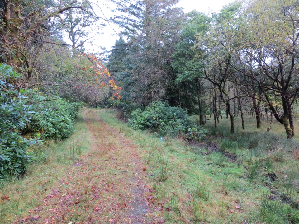 River Goil Pathway in Loch Lomond & The Trossachs National Park