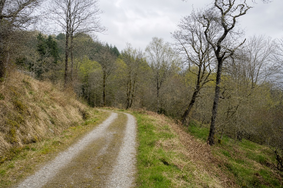 Glen Eck Trail in Loch Lomond & The Trossachs National Park